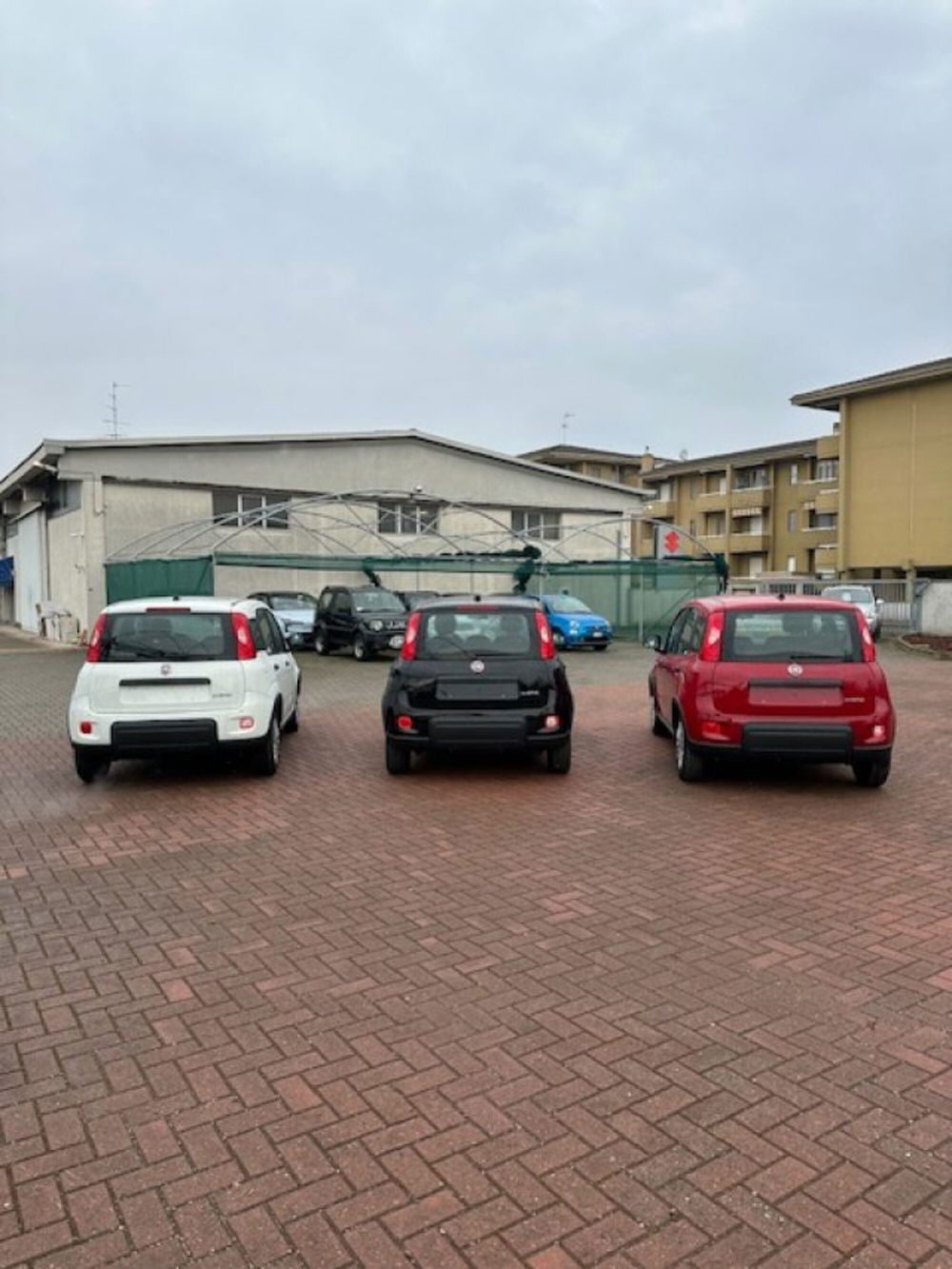 Fiat Panda nuova a Novara (8)