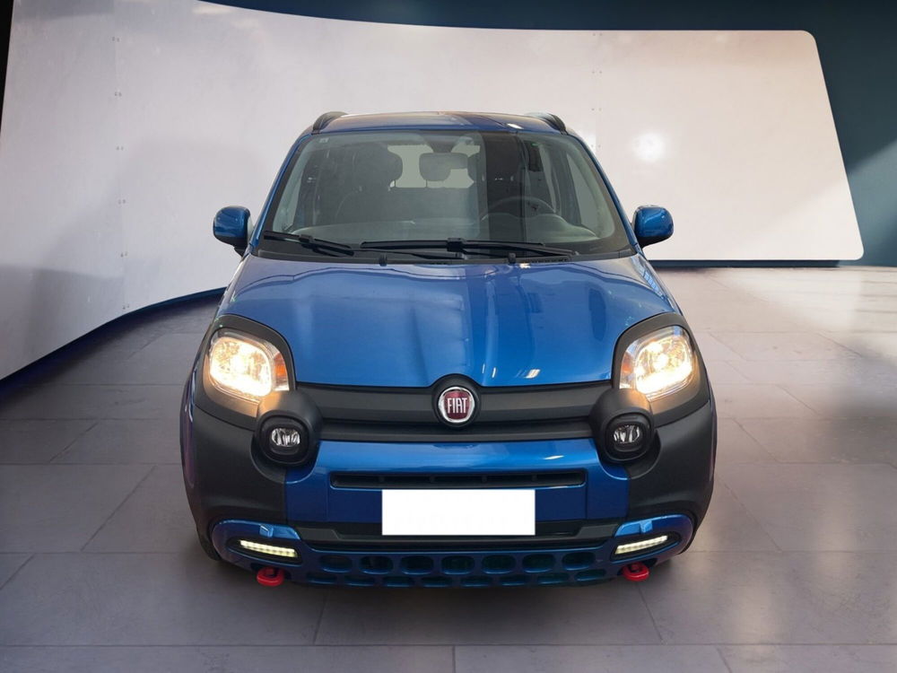 Fiat Panda Cross usata a Torino