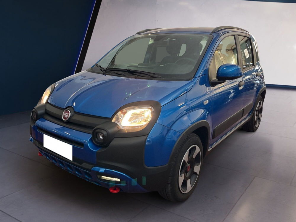 Fiat Panda Cross usata a Torino (2)