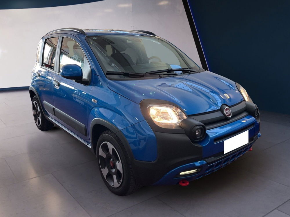 Fiat Panda Cross usata a Torino (3)