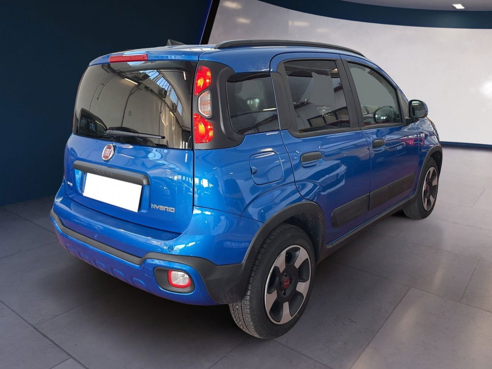 Fiat Panda Cross usata a Torino (4)