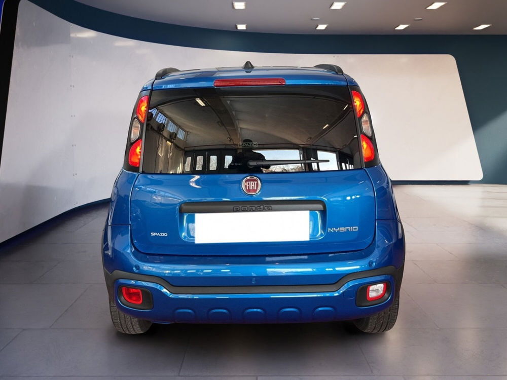 Fiat Panda Cross usata a Torino (5)