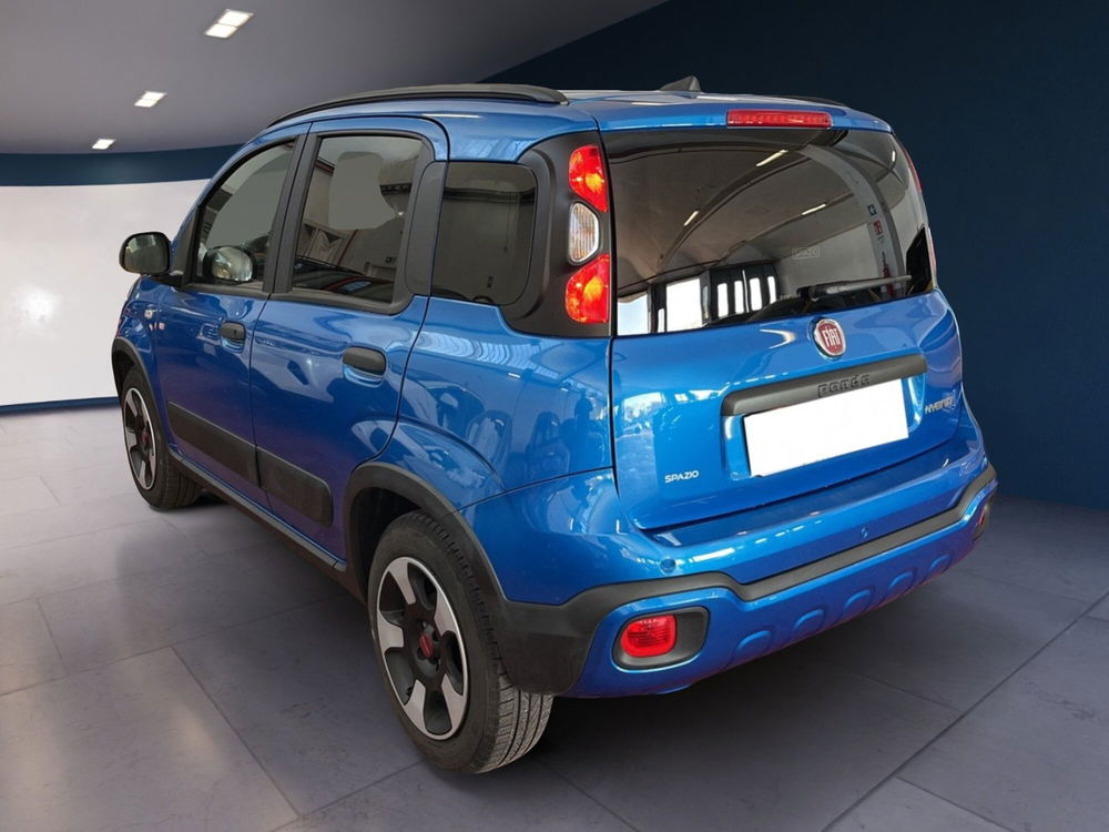 Fiat Panda Cross usata a Torino (6)