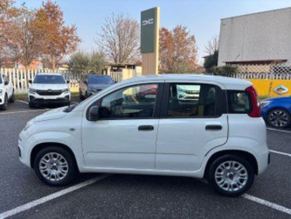 Fiat Panda usata a Bergamo (2)