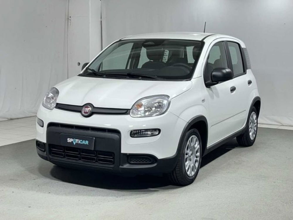 Fiat Panda nuova a Sondrio