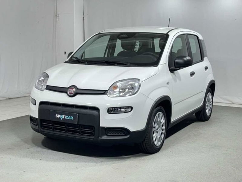 Fiat Panda 1.0 firefly hybrid s&amp;s 70cv 5p.ti nuova a Caspoggio