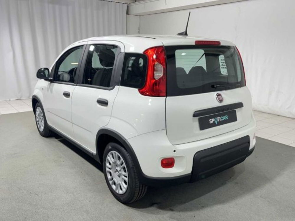 Fiat Panda nuova a Sondrio (3)