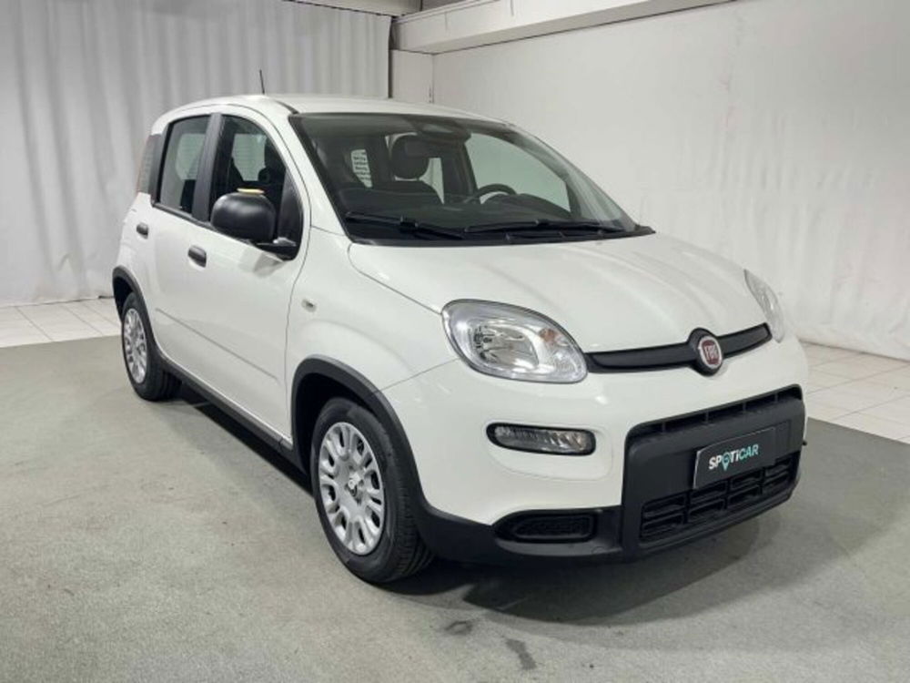 Fiat Panda nuova a Sondrio (7)