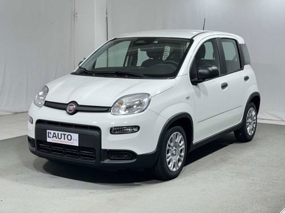 Fiat Panda nuova a Sondrio