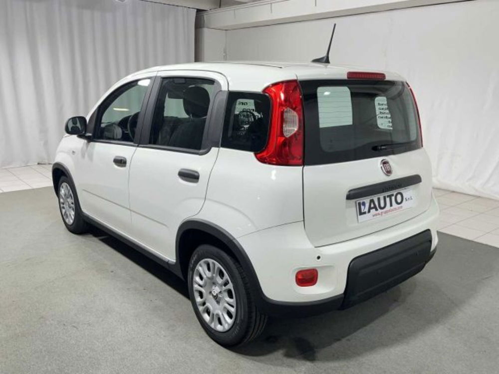 Fiat Panda nuova a Sondrio (3)