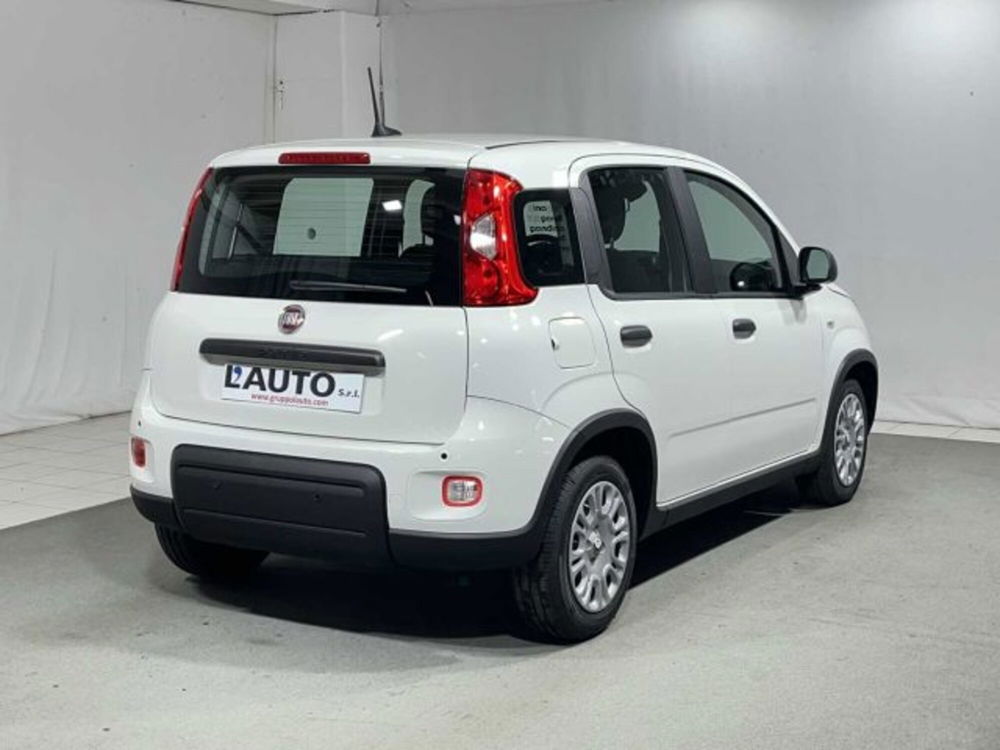 Fiat Panda nuova a Sondrio (5)