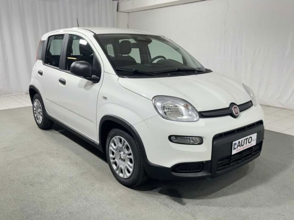 Fiat Panda nuova a Sondrio (7)