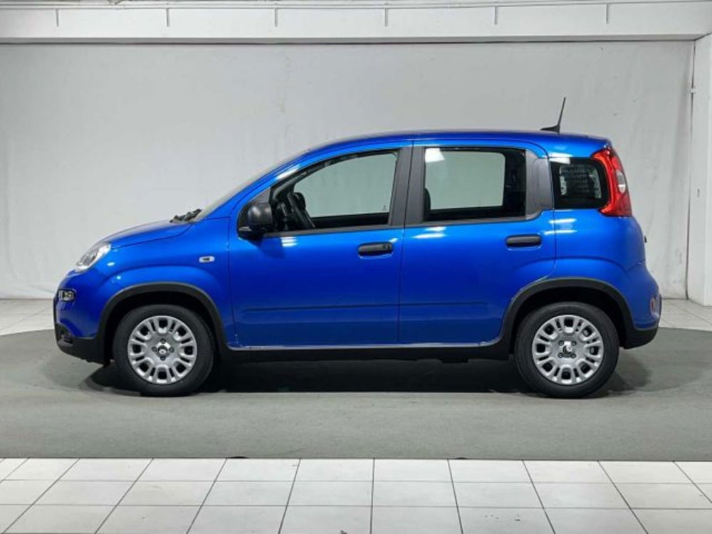 Fiat Panda nuova a Sondrio (2)