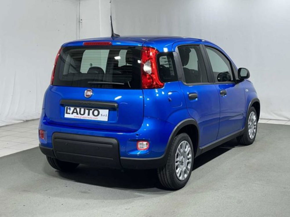 Fiat Panda nuova a Sondrio (5)