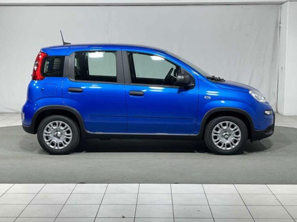 Fiat Panda nuova a Sondrio (6)