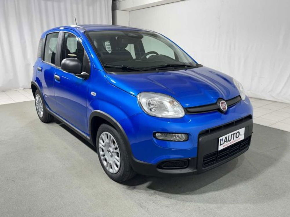 Fiat Panda nuova a Sondrio (7)