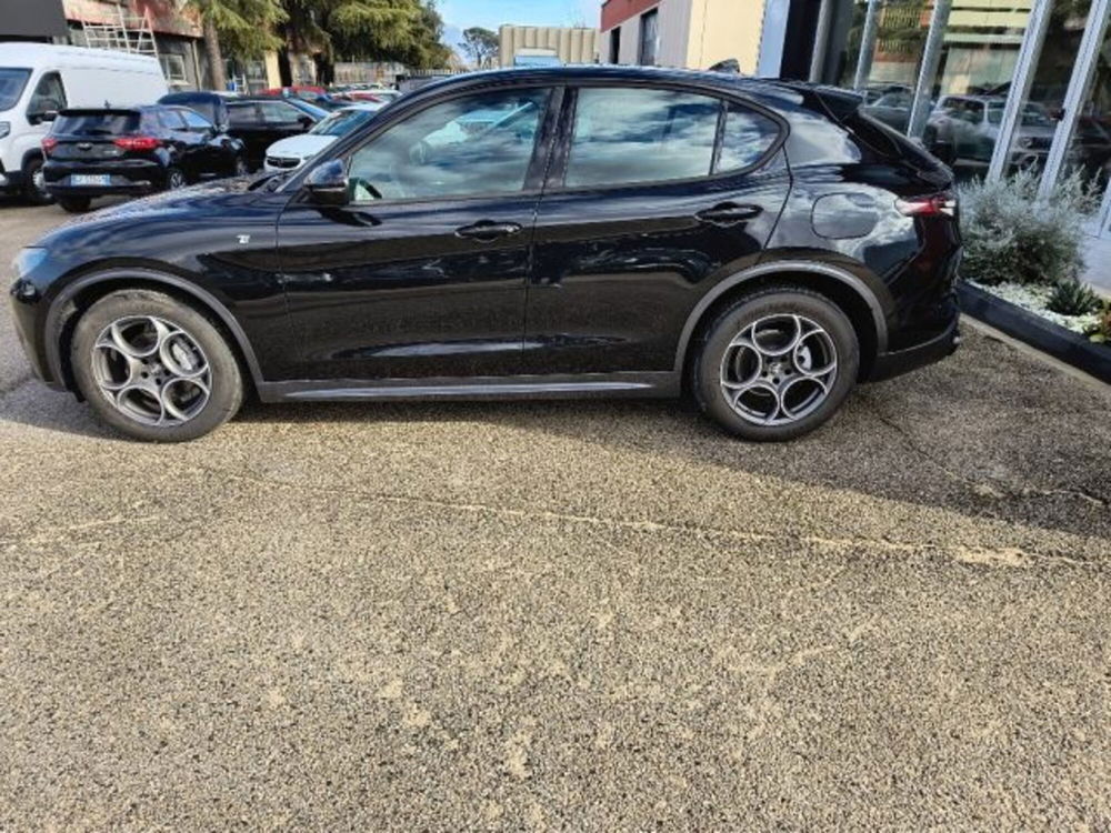 Alfa Romeo Stelvio nuova a Frosinone (3)