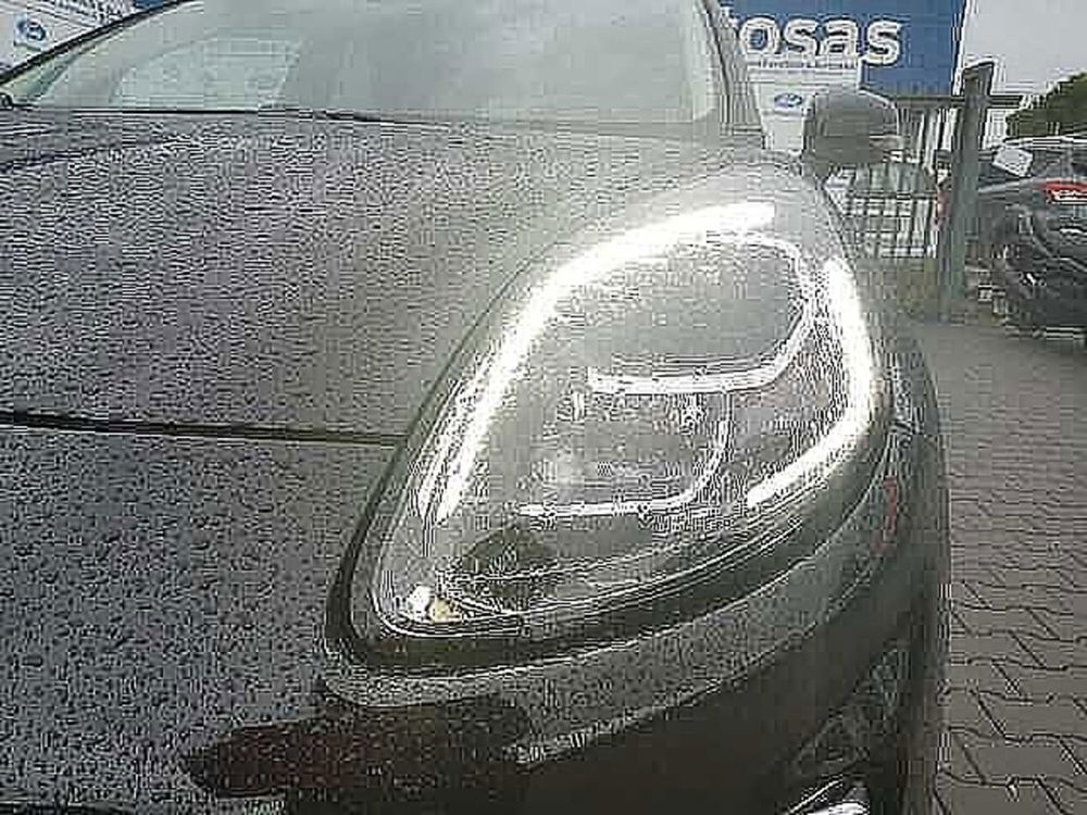 Ford Puma usata a Firenze (17)