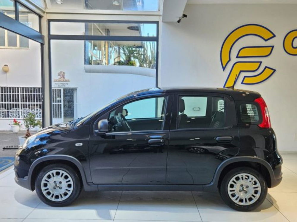 Fiat Panda nuova a Napoli (2)