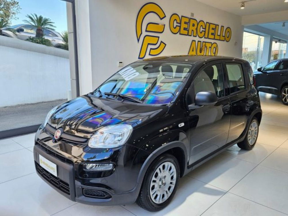 Fiat Panda nuova a Napoli (6)