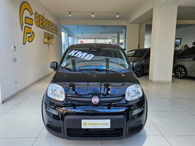 Fiat Panda 1.0 firefly hybrid s&amp;s 70cv 5p.ti nuova a Somma Vesuviana