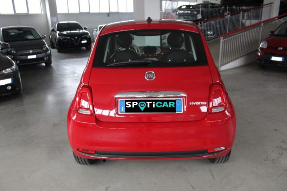 Fiat 500 usata a Terni (5)