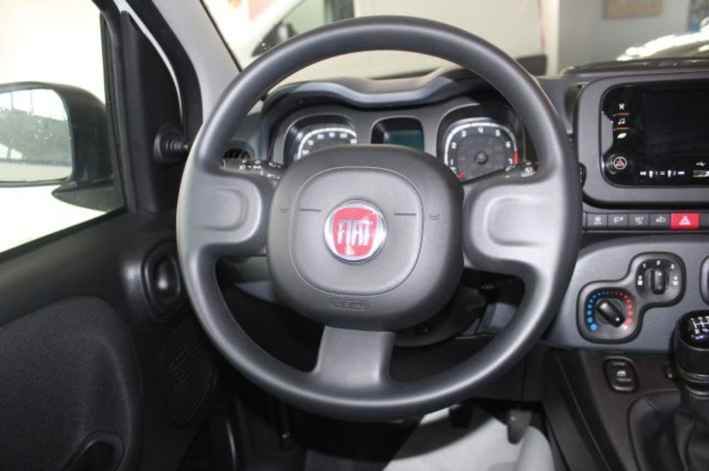 Fiat Panda usata a Terni (12)