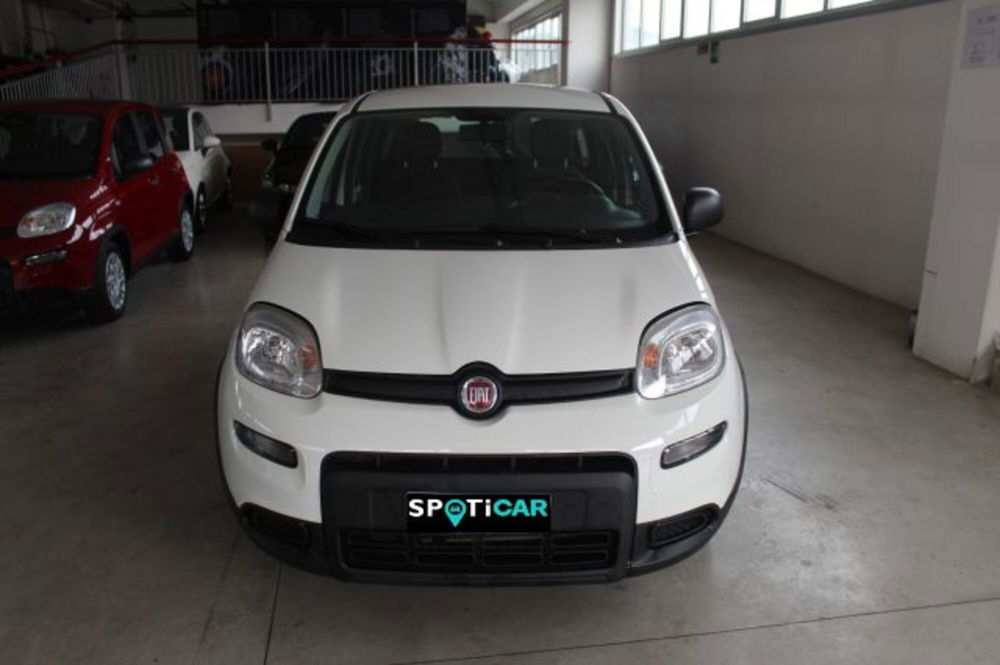 Fiat Panda usata a Terni (2)