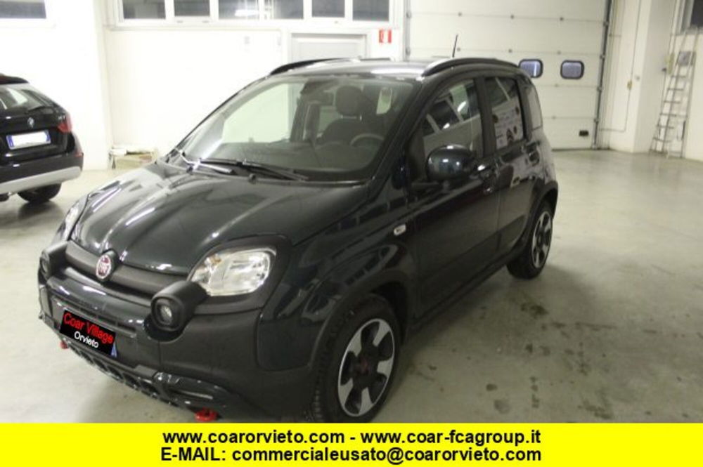 Fiat Panda Cross usata a Terni