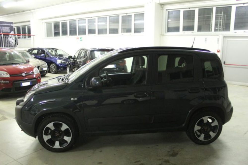 Fiat Panda Cross usata a Terni (3)