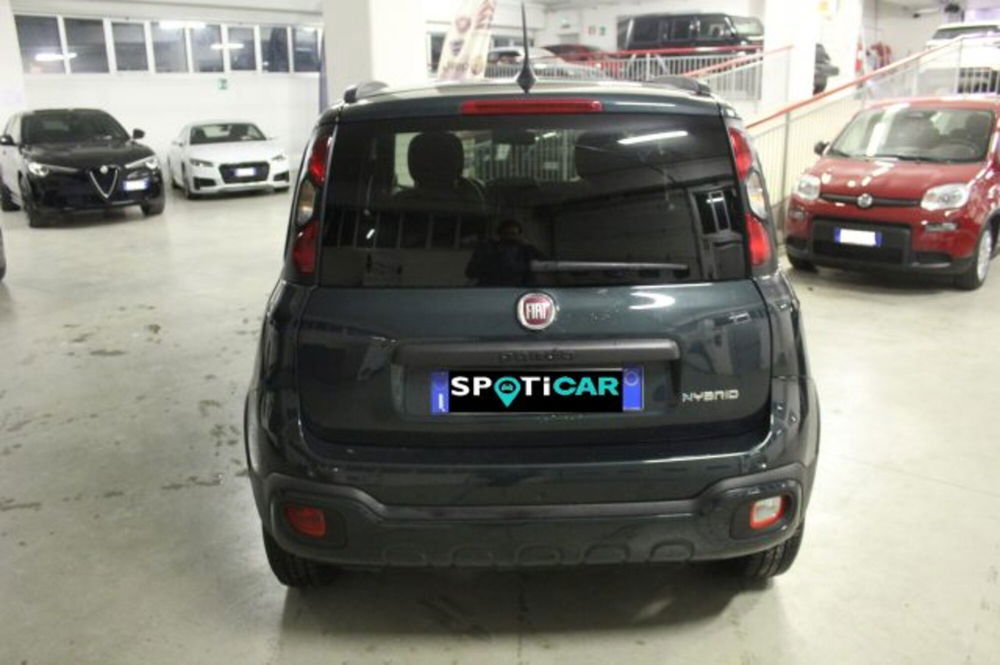 Fiat Panda Cross usata a Terni (5)