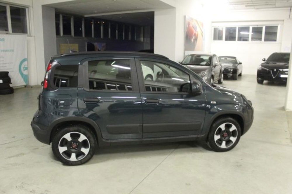 Fiat Panda Cross usata a Terni (6)