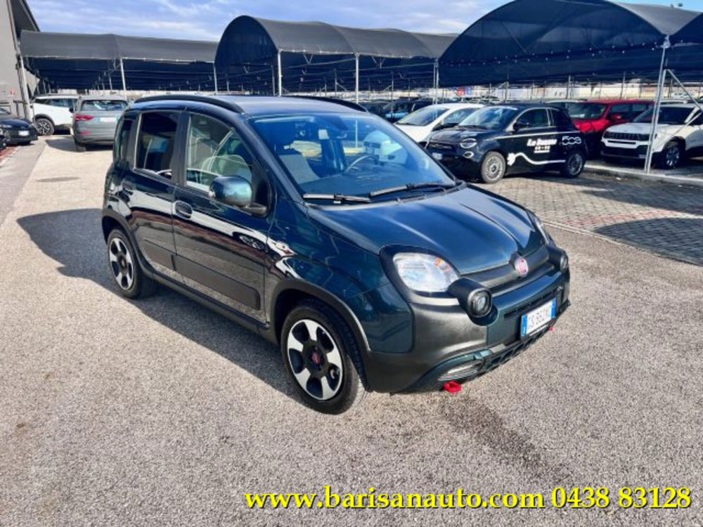 Fiat Panda Cross usata a Treviso (2)