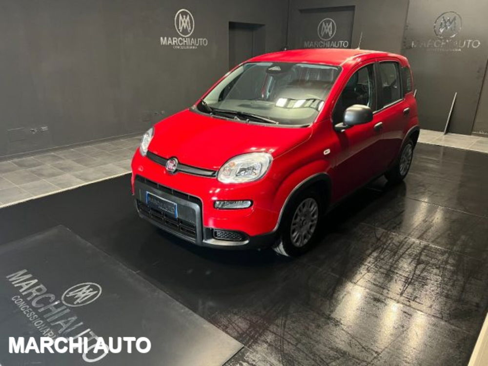 Fiat Panda nuova a Perugia