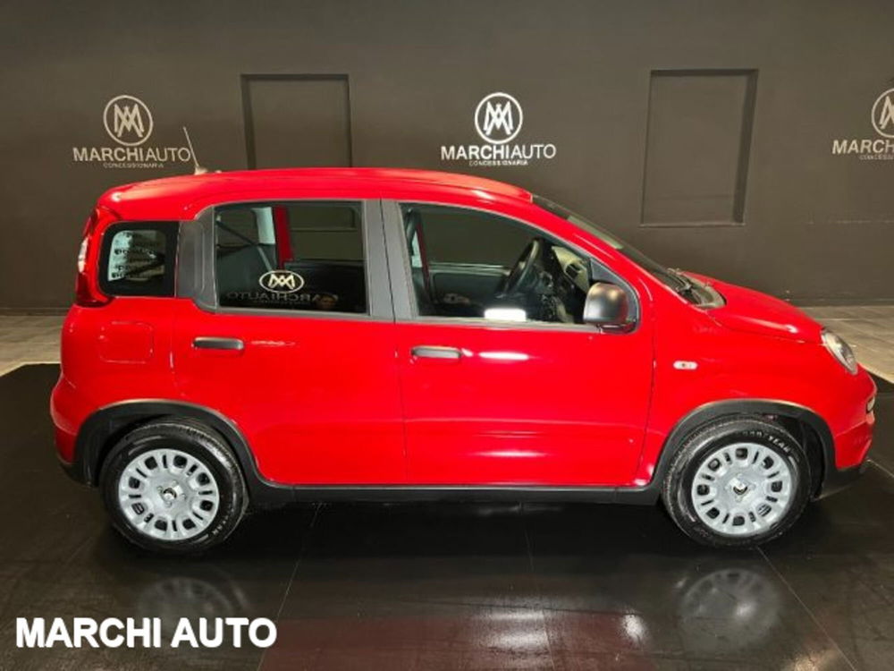 Fiat Panda nuova a Perugia (4)