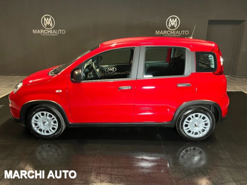 Fiat Panda nuova a Perugia (8)