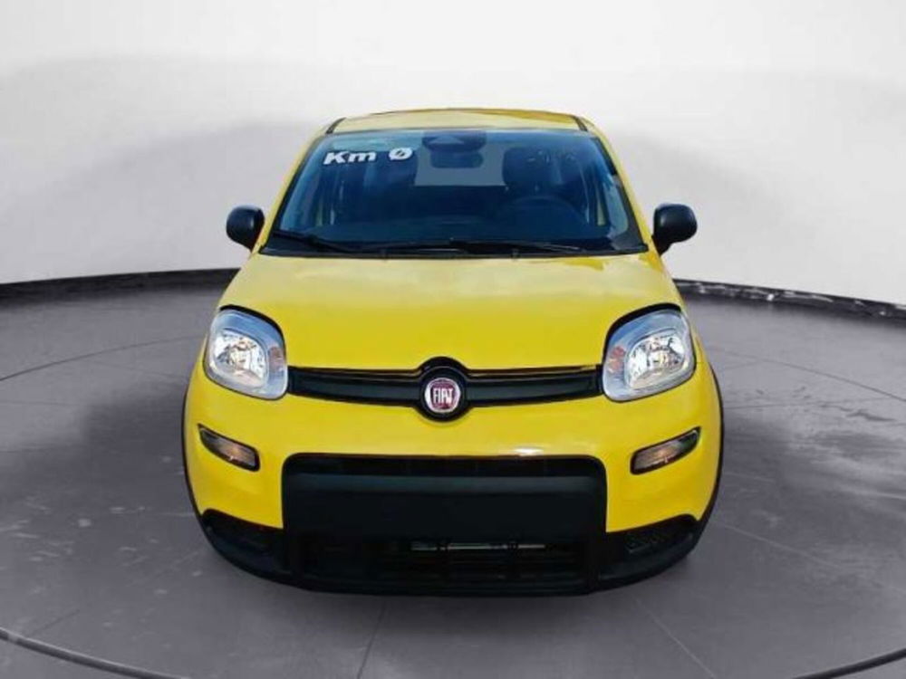 Fiat Panda nuova a Lecce (18)