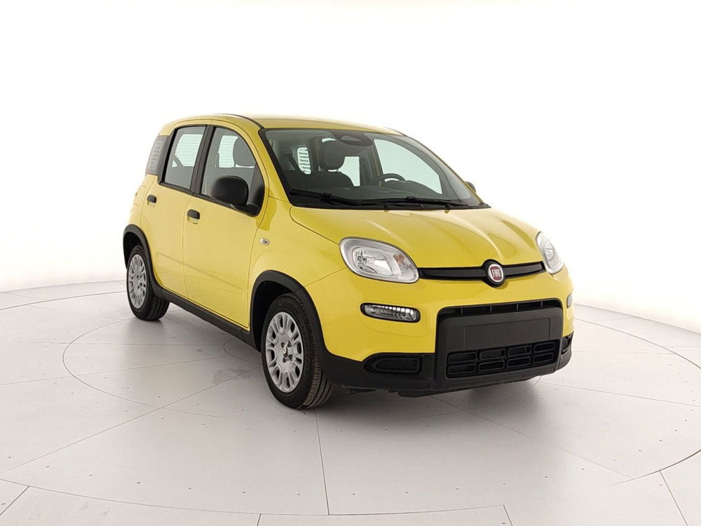 Fiat Panda nuova a Caserta