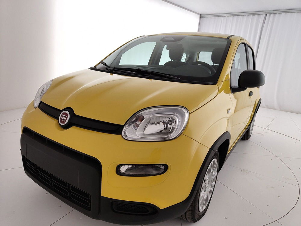 Fiat Panda nuova a Caserta (13)