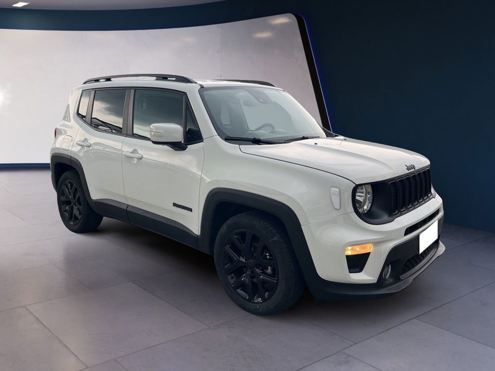 Jeep Renegade usata a Torino (3)