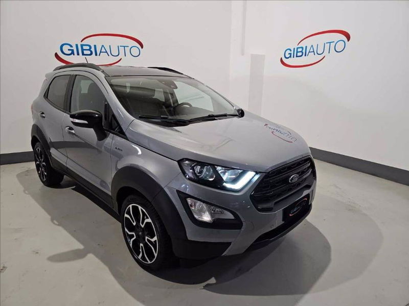 Ford EcoSport 1.0 EcoBoost 125 CV Start&amp;Stop Active del 2022 usata a Palermo