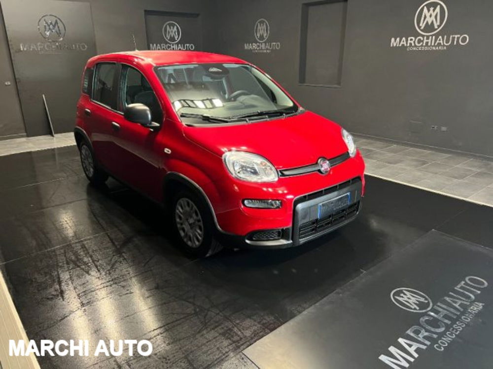 Fiat Panda nuova a Perugia (3)