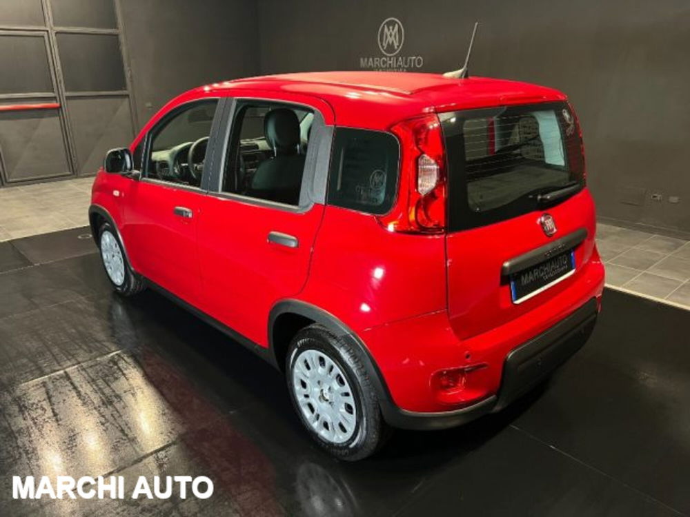 Fiat Panda nuova a Perugia (7)