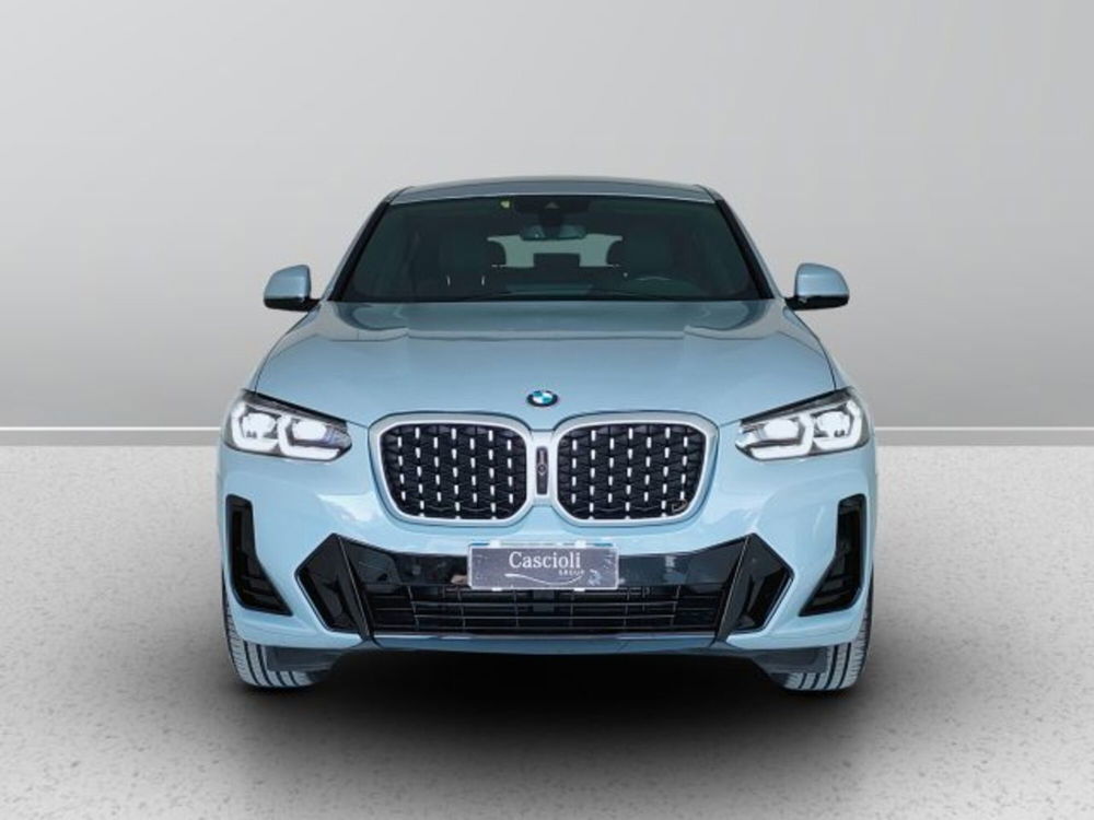 BMW X4 usata a Teramo (2)