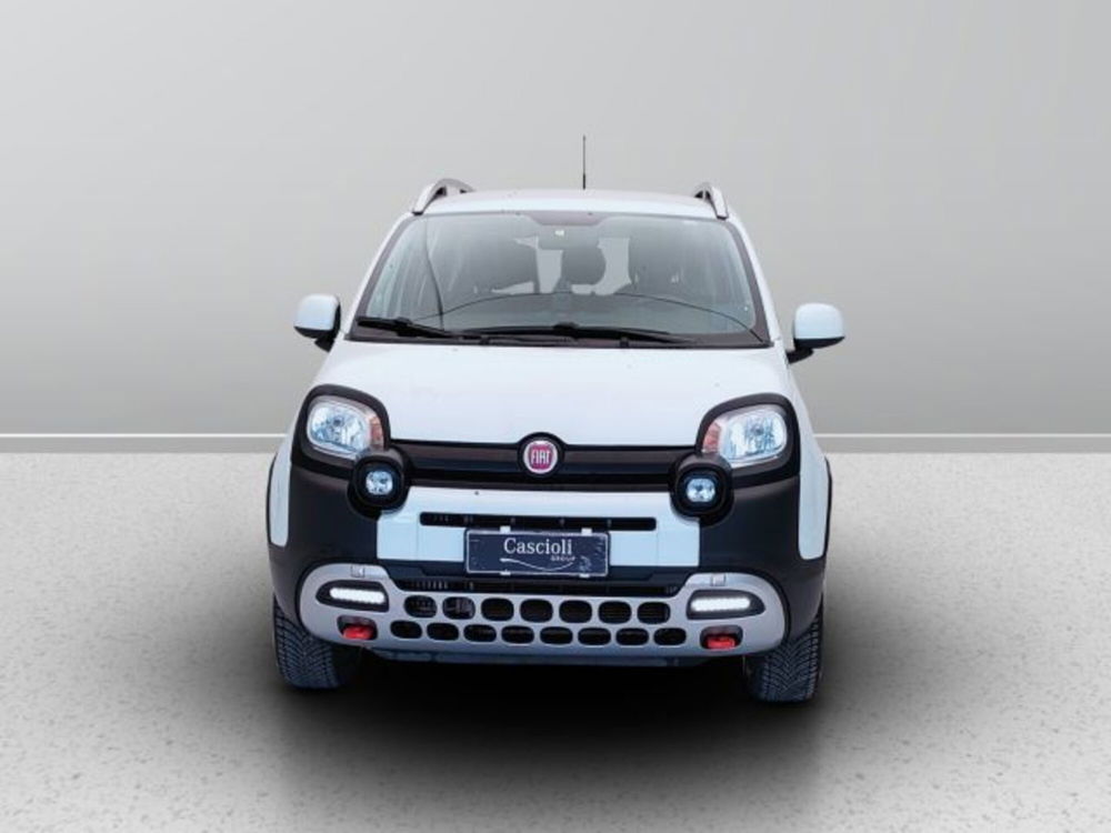 Fiat Panda Cross usata a Teramo (2)