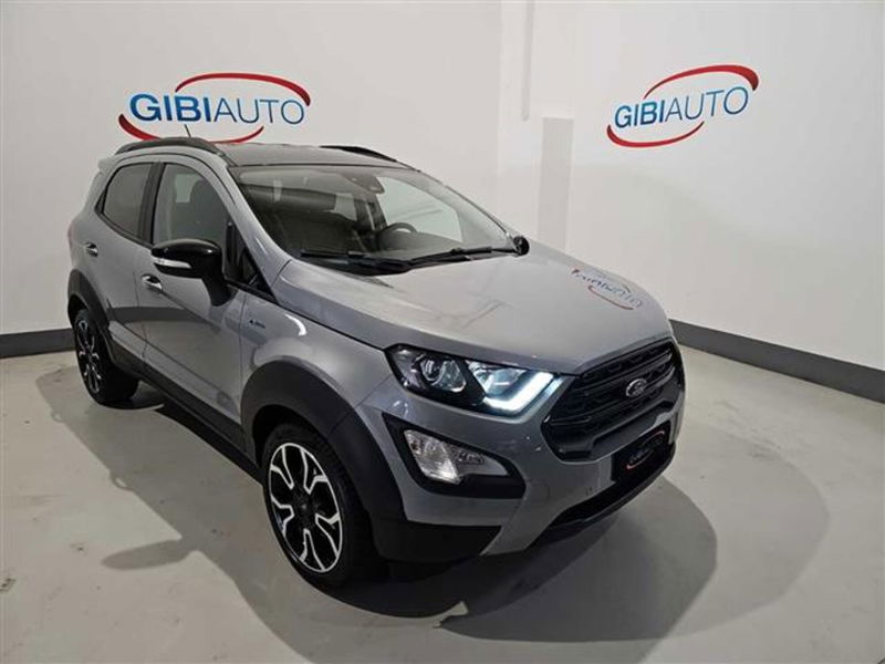 Ford EcoSport 1.0 EcoBoost 125 CV Titanium S del 2022 usata a Palermo