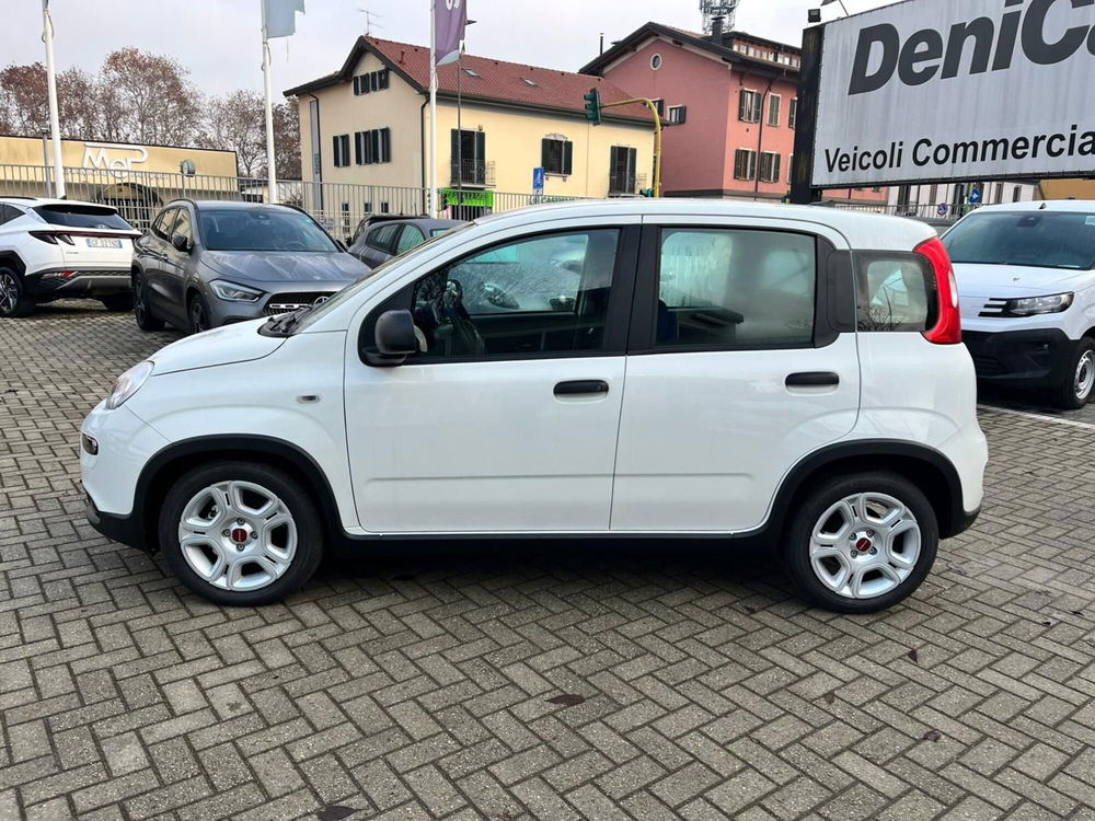 Fiat Panda Cross nuova a Milano (4)