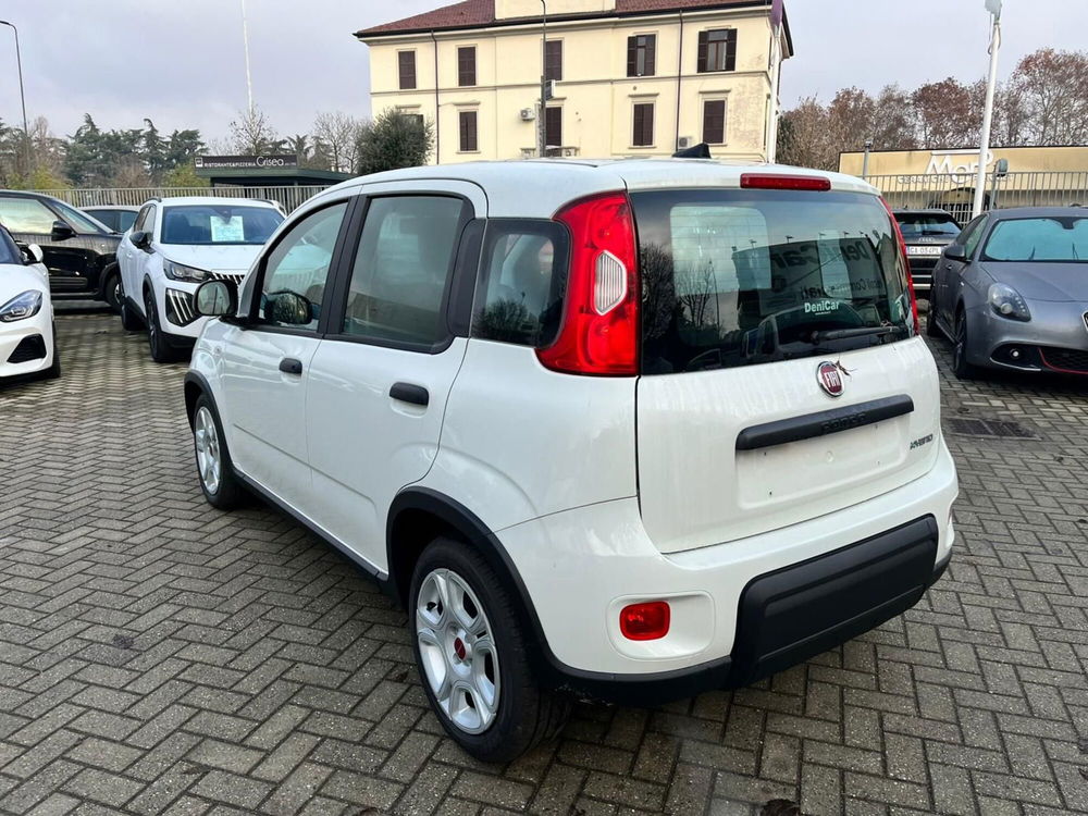 Fiat Panda Cross nuova a Milano (6)