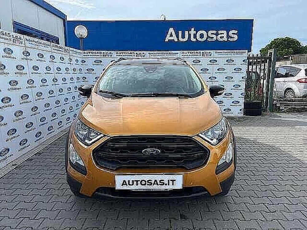 Ford EcoSport usata a Firenze (4)