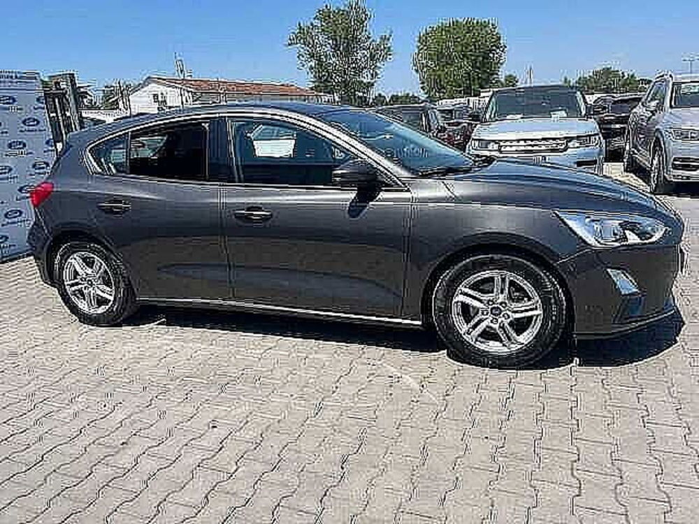 Ford Focus usata a Firenze (11)